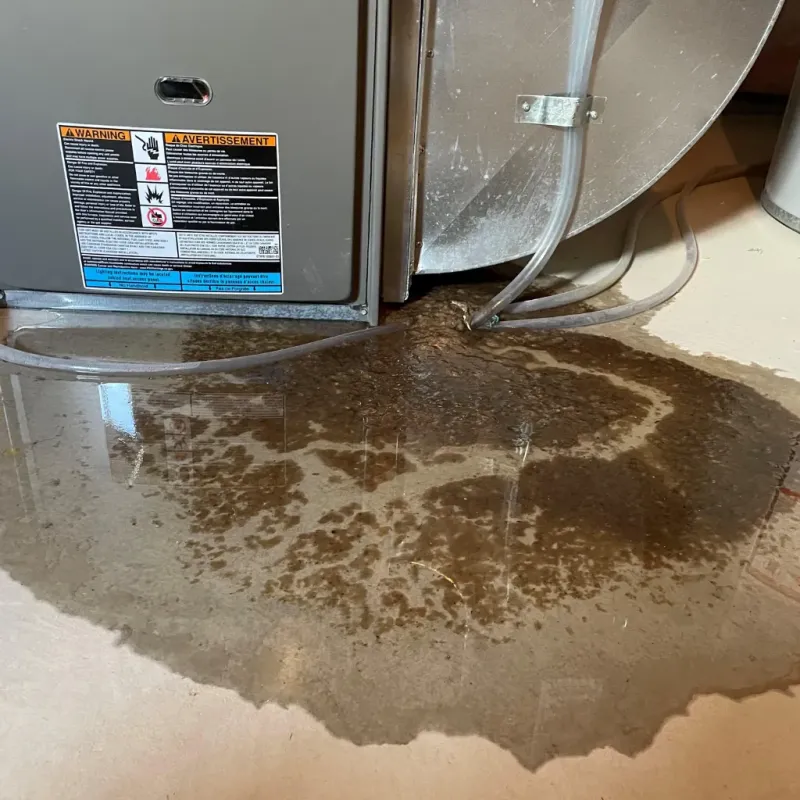 Appliance Leak Cleanup in Washington County, OK